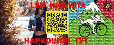 кокс Кунгур