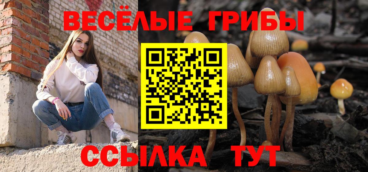 Псилоцибиновые грибы Cubensis Егорьевск