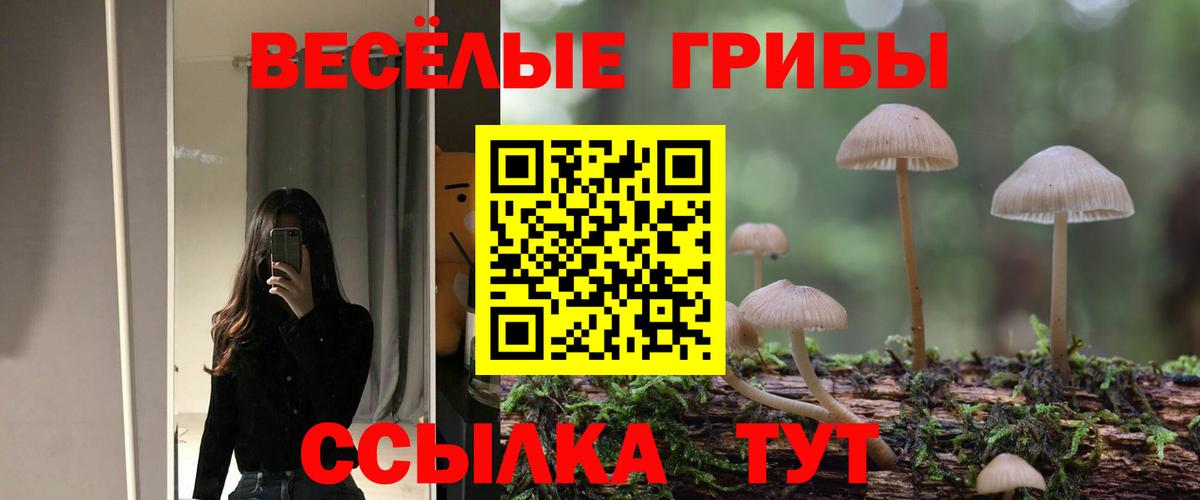 купить  сайты  Галлюциногенные грибы мицелий  Вход с VPN  Галлюциногенные грибы мухоморы  Егорьевск 